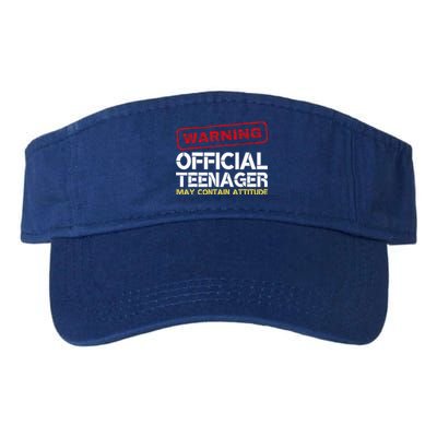 13 Birthday Teenager Boy 13th Birthday Valucap Bio-Washed Visor