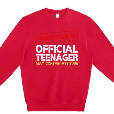 13 Birthday Teenager Boy 13th Birthday Premium Crewneck Sweatshirt