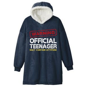 13 Birthday Teenager Boy 13th Birthday Hooded Wearable Blanket