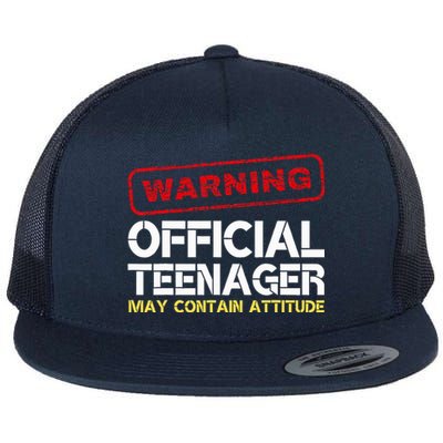 13 Birthday Teenager Boy 13th Birthday Flat Bill Trucker Hat