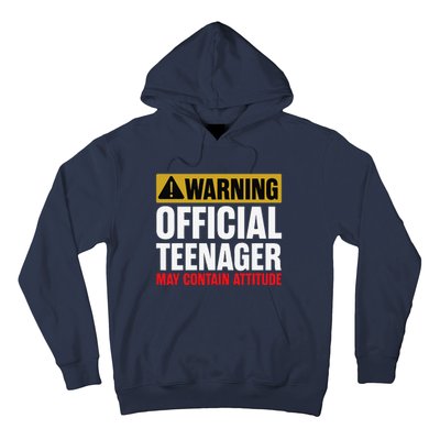 13 Birthday Teenager Boy 13yr Math 13th Birthday Hoodie