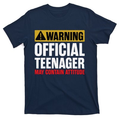 13 Birthday Teenager Boy 13yr Math 13th Birthday T-Shirt