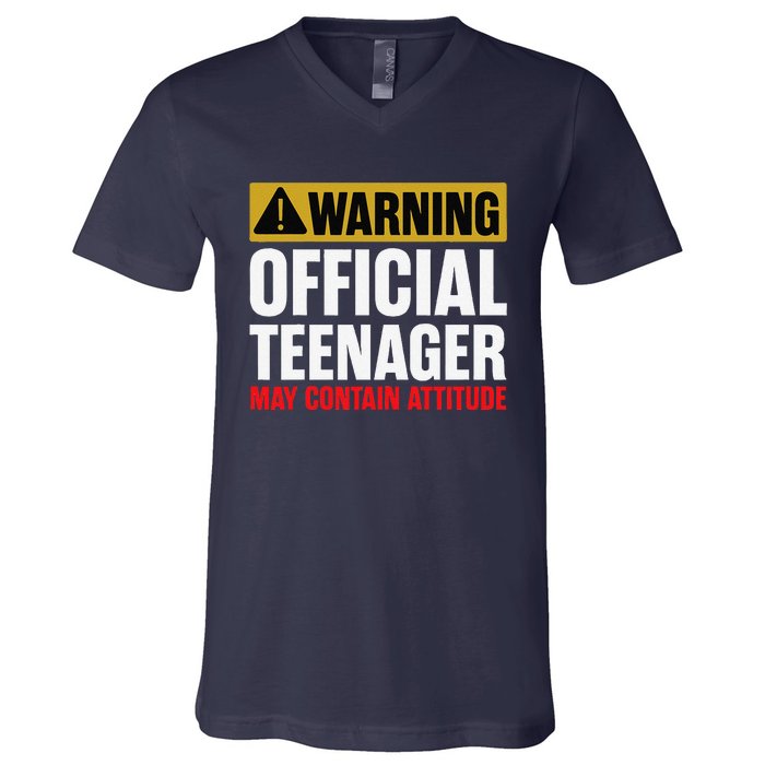 13 Birthday Teenager Boy 13yr Math 13th Birthday V-Neck T-Shirt