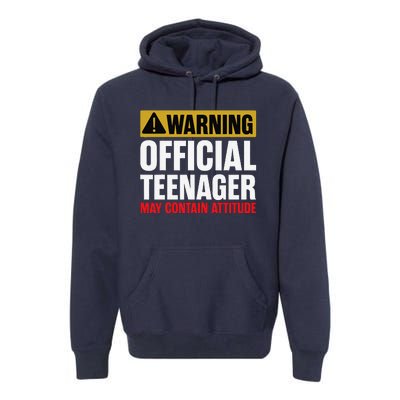 13 Birthday Teenager Boy 13yr Math 13th Birthday Premium Hoodie