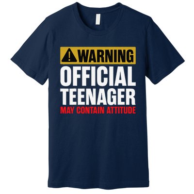 13 Birthday Teenager Boy 13yr Math 13th Birthday Premium T-Shirt