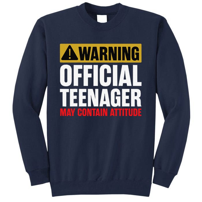 13 Birthday Teenager Boy 13yr Math 13th Birthday Tall Sweatshirt