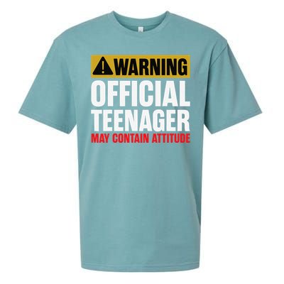 13 Birthday Teenager Boy 13yr Math 13th Birthday Sueded Cloud Jersey T-Shirt