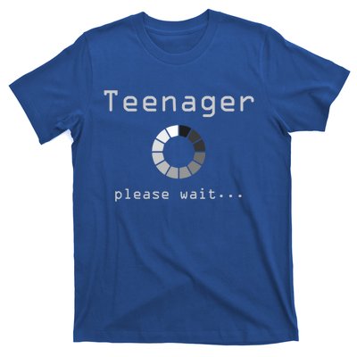 13th Birthday Teenager Gift Thirteen Yo Funny Gift Idea Meaningful Gift T-Shirt