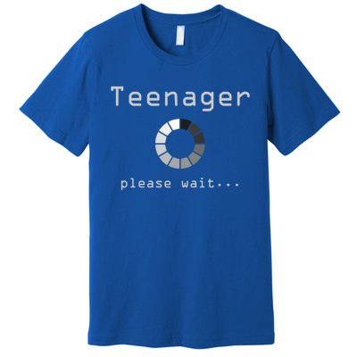 13th Birthday Teenager Gift Thirteen Yo Funny Gift Idea Meaningful Gift Premium T-Shirt