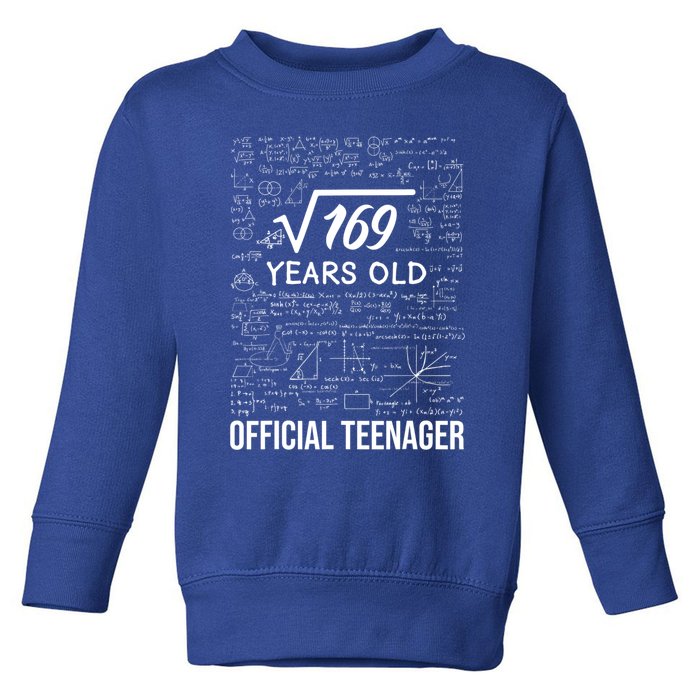 13 Birthday Teenager Boy 13yr Math 13th Birthday Toddler Sweatshirt