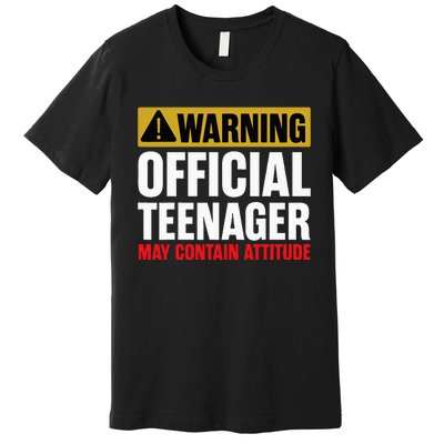 13 Birthday Teenager Boy 13yr Math 13th Birthday Premium T-Shirt