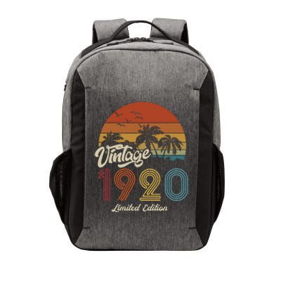 103rd Birthday Vintage Limited Edition 1920 Vector Backpack