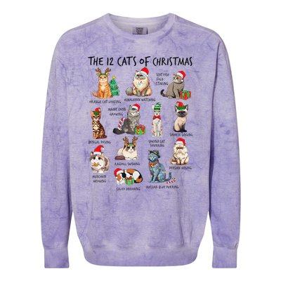 12 Cats Of Christmas Funny Christmas Cat Lover Xmas Holiday Colorblast Crewneck Sweatshirt