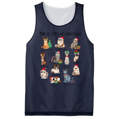 12 Cats Of Christmas Funny Christmas Cat Lover Xmas Holiday Mesh Reversible Basketball Jersey Tank