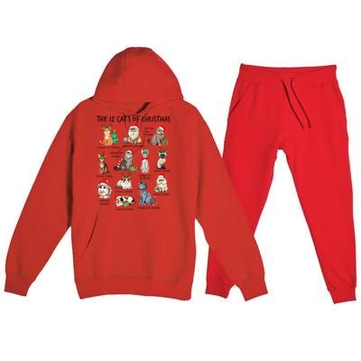 12 Cats Of Christmas Funny Christmas Cat Lover Xmas Holiday Premium Hooded Sweatsuit Set