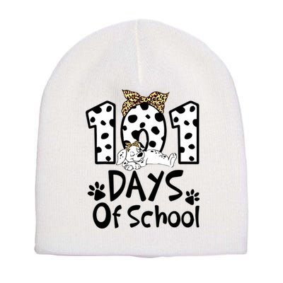 101 Days Of School Dalmatian Dog Boys Girls 100 Days Smarter Short Acrylic Beanie