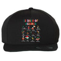 12 Days Of Science Scientist Teacher Christmas Science Xmas Wool Snapback Cap