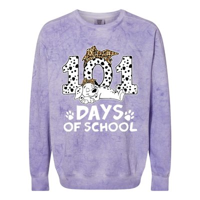 100 Days Of School Dalmatian Dog Wo Girl 100 Days Smarter Colorblast Crewneck Sweatshirt