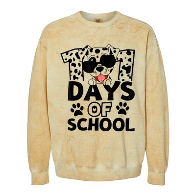 100 Days Of School Dalmatian Dog 100th Day Of School Colorblast Crewneck Sweatshirt