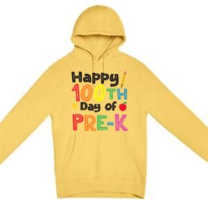 100 Days Of Pre K Teacher And Student Teacher Boy Girl Premium Pullover Hoodie