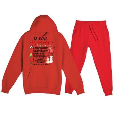 12 Days Of Nursing Funny Nurse Christmas Premium Hooded Sweatsuit Set