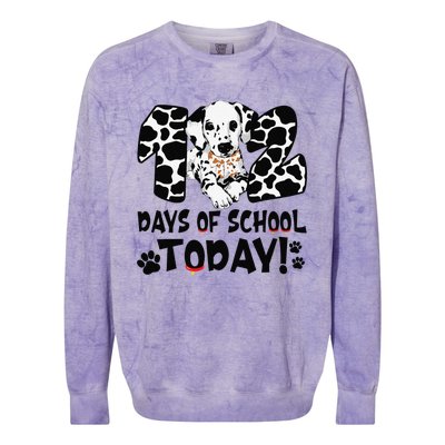 102 Days Of School Today Dalmatian Dog Funny 100th Day Colorblast Crewneck Sweatshirt