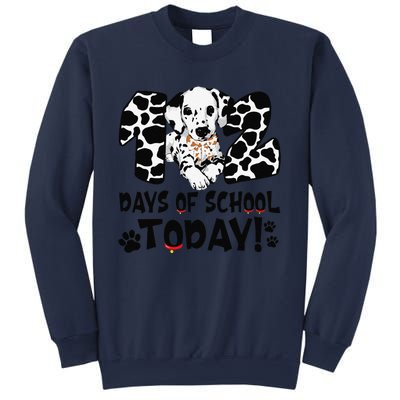 102 Days Of School Today Dalmatian Dog Funny 100th Day Sweatshirt