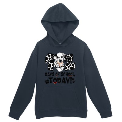 102 Days Of School Today Dalmatian Dog Funny 100th Day Urban Pullover Hoodie