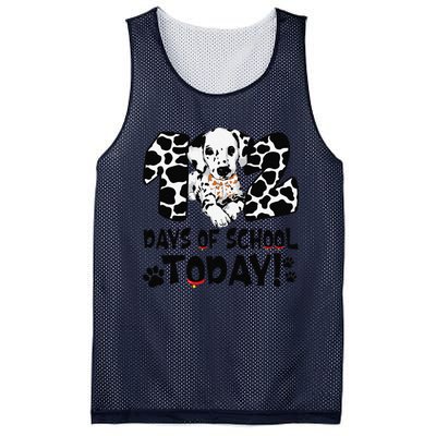 102 Days Of School Today Dalmatian Dog Funny 100th Day Mesh Reversible Basketball Jersey Tank