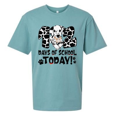 102 Days Of School Today Dalmatian Dog Funny 100th Day Sueded Cloud Jersey T-Shirt