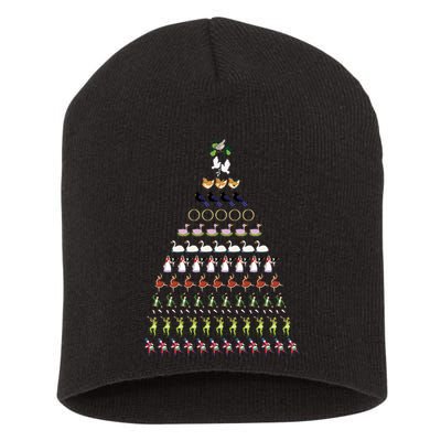 12 Days Of Christmas Essential Short Acrylic Beanie