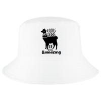100 Days Of Being Llamazing 100 Days Of School Funny Llama Cool Comfort Performance Bucket Hat