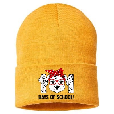 101 Days Of School Dalmatian Dog Teachers Kids Gift Sustainable Knit Beanie