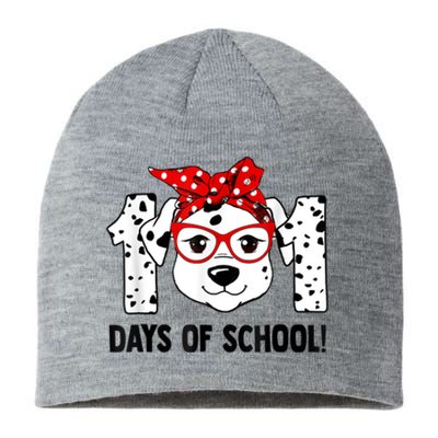 101 Days Of School Dalmatian Dog Teachers Kids Gift Sustainable Beanie