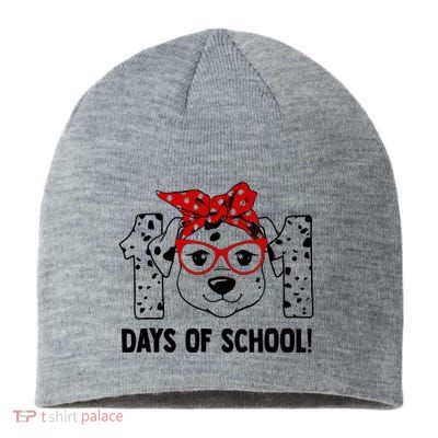101 Days Of School Dalmatian Dog Teachers Gift Sustainable Beanie
