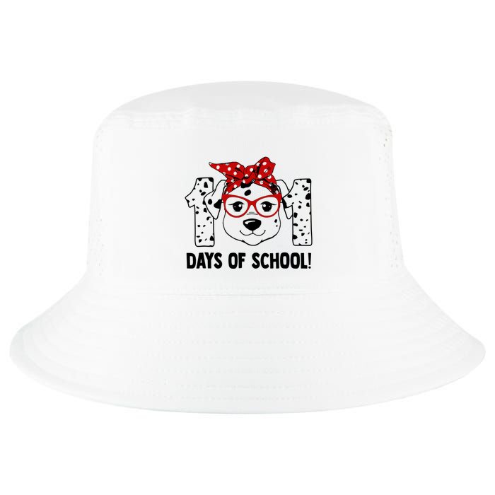 101 Days Of School Dalmatian Dog Teachers Gift Cool Comfort Performance Bucket Hat