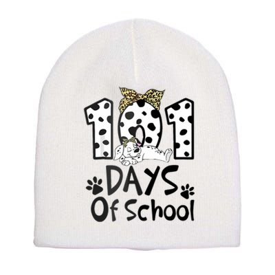 100th Day Of School 101 Days Smarter Funny Dalmatian Short Acrylic Beanie