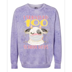 100 Days Of School Cute Cow Wearing Mask Golden Stars Gift Colorblast Crewneck Sweatshirt