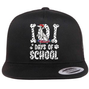 101 days of school dalmatian skateboard smarter Flat Bill Trucker Hat