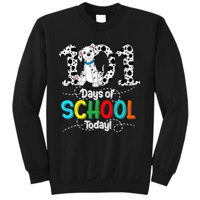 100th Day Of School 101 Days Smarter 100 For Boy Girl Sweatshirt