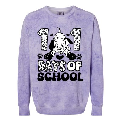 101 Days Of School Dalmatian I Survived 100 Days Of School Funnny Colorblast Crewneck Sweatshirt