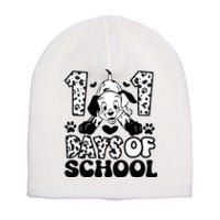 101 Days Of School Dalmatian I Survived 100 Days Of School Funnny Short Acrylic Beanie