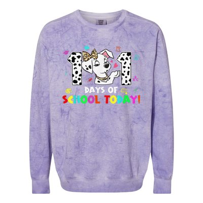 101 Days School Today 101 Days Smarter Dalmatian Lovers Colorblast Crewneck Sweatshirt