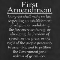 1st First Amendment U.s. Constitution Patriot Us History Adult Drive Performance Visor
