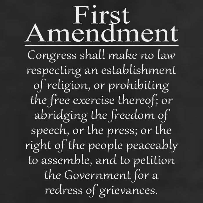 1st First Amendment U.s. Constitution Patriot Us History Adult Drive Performance Visor