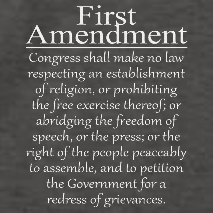 1st First Amendment U.s. Constitution Patriot Us History Vector Backpack