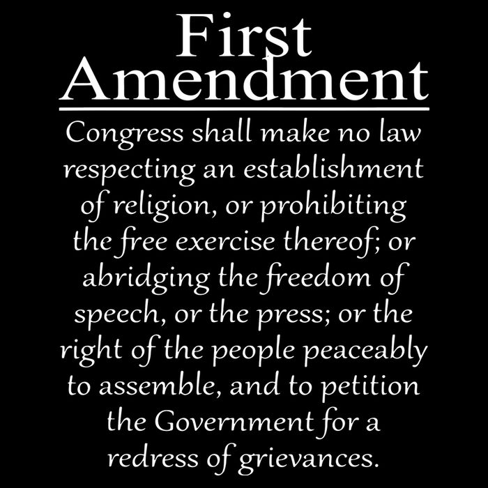 1st First Amendment US Constitution Patriot US History Button