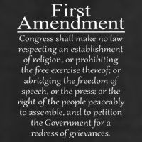 1st First Amendment US Constitution Patriot US History Adult Drive Performance Visor
