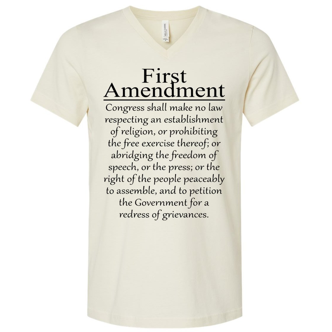 1st First Amendment US Constitution Patriot US History V-Neck T-Shirt