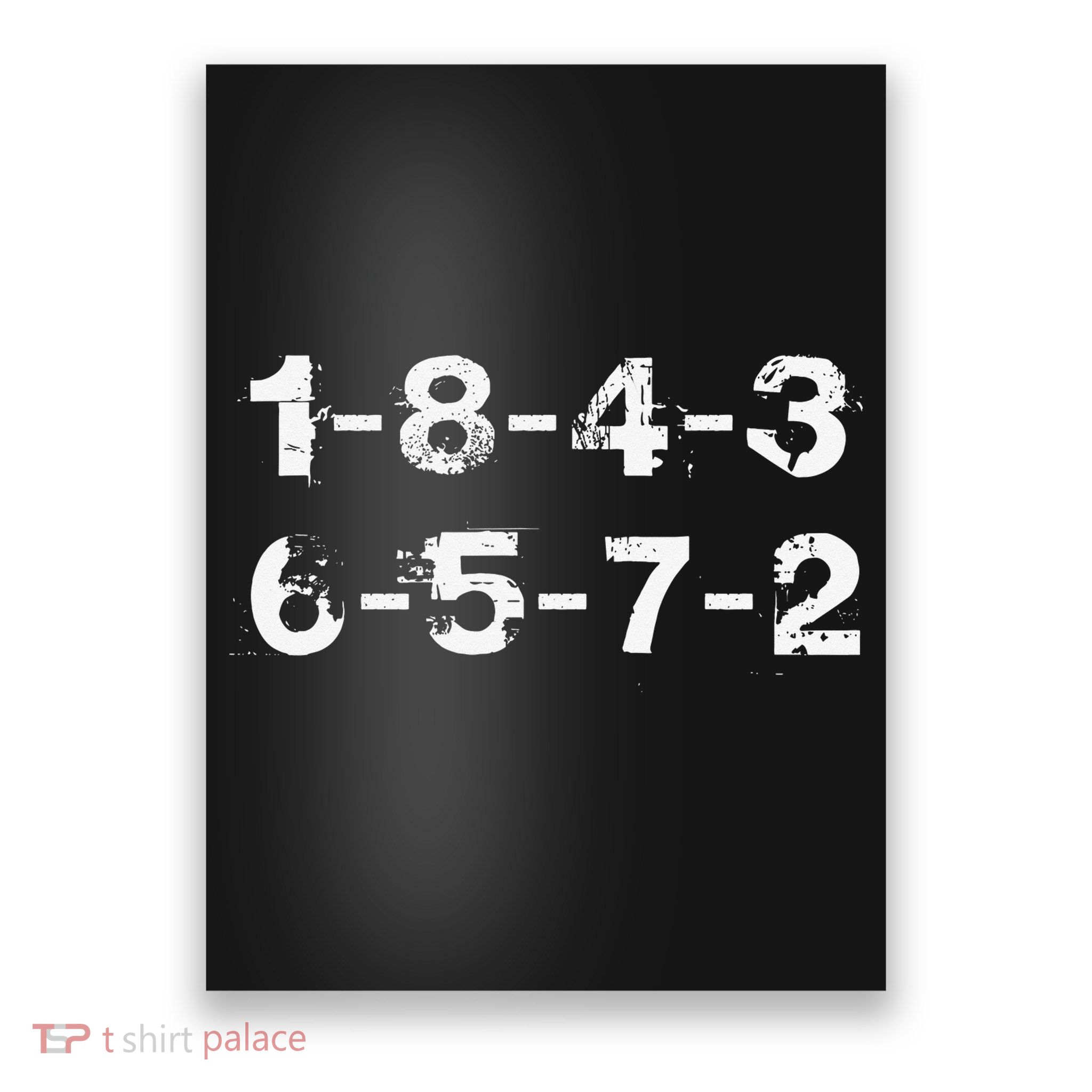 18436572 Firing Order Numbers Funny Poster